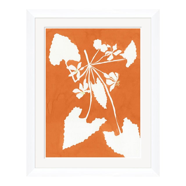 Alocasia by Susan Hable For Sale