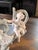 Mid 20th Century Antique Bisque Planter With Cherub Flower Design For Sale - Image 5 of 11