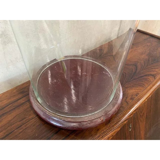 Big Glass Cover, 1900s For Sale - Image 5 of 13