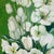 Midcentury Oil on Board Floral Still Life of White Tulips For Sale - Image 4 of 12