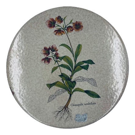 Italian Decorative Wall Plate, 1965 For Sale