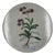 Italian Decorative Wall Plate, 1965 For Sale
