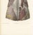 19th Century Hirschfeld and Leveille, Nerves of the Whole Back, Hirschfeld Double Folding Plate, 1866, Paper For Sale - Image 5 of 12