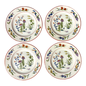 Queen's Garden Floral Plates With Red Rim- Set of 4