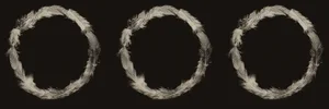 Ring of Feathers I by Trinette + Chris Print, 30" x 90"
