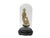 Art Deco 12" Vintage Glass Transparent Dome Shape Round Display Case For Sale - Image 3 of 5