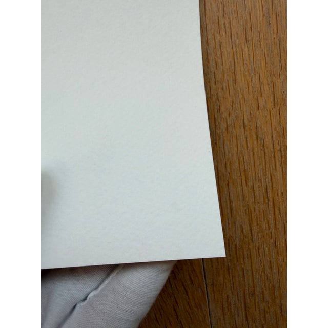 Early 21st Century Anne Montiel, Untitled, 2008, Print For Sale - Image 5 of 12