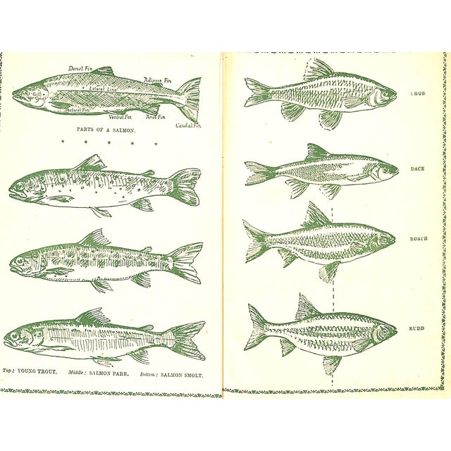 Paper "The Angler's Week-End Book" 1949 Tavener, Eric & Moore, John For Sale - Image 7 of 8