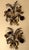 Pair of Hans Kögl gilt tole double candleholder wall lights dating from the 1960s, beautiful patina. Decorated with...