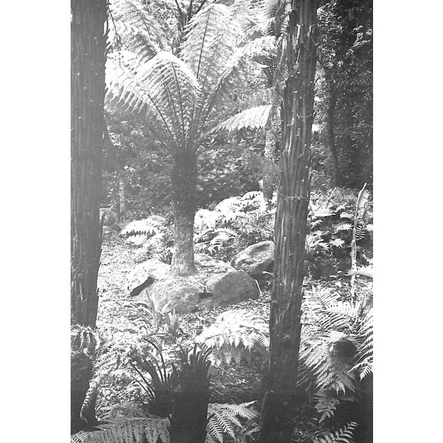 "The English Garden" Book 1966 Hyams, Edward For Sale - Image 4 of 10