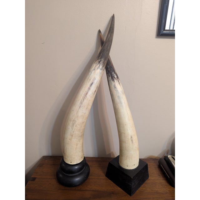 Figurative Vintage Mounted Longhorns W/ Wooden Mounts For Sale - Image 3 of 10