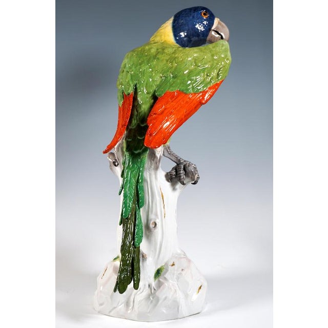 Large Parrot on a Tree Trunk by J.J. Kaendler for Meissen, 1860 For Sale - Image 4 of 9