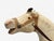 Victorian, Painted Wood, Primitive Rocking Horse, Usa, 19th C. For Sale In New York - Image 6 of 13