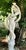 Dancing Maiden Marble Sculpture by Papini, 1950s For Sale - Image 9 of 14