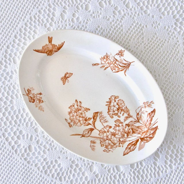 Rare and magnificent large oval sepia iron terracotta dish from the 19th century, stamped Longwy, “Botanique” collection....