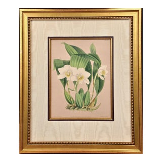 Orchids" Framed 19th C. Hand-Colored Engraving of "Lycaste Harrisoniae" by Fitch, 1882 For Sale