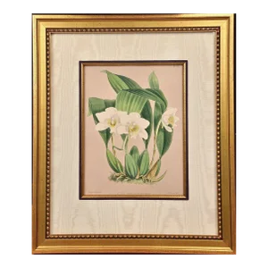 Orchids" Framed 19th C. Hand-Colored Engraving of "Lycaste Harrisoniae" by Fitch, 1882
