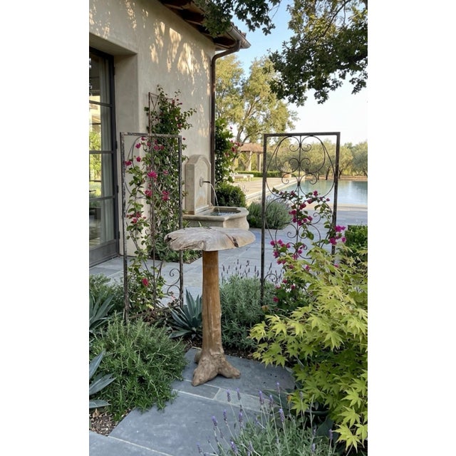 Camel Mid-Century Hand-Carved Bleached Wood Mushroom Garden Sculpture For Sale - Image 8 of 12