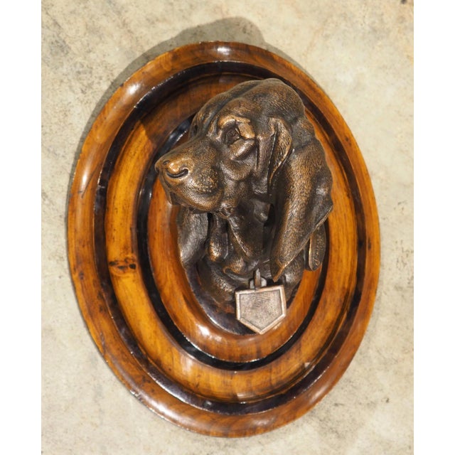 A Signed Antique French Medallion Bronze Bust of the St. Hubert Hound (1851-1925) For Sale - Image 14 of 15
