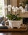 A beautifully sculptural vintage porcelain cachepot modeled in trompe l’oeil fashion as a coiled rope basket. The glossy...
