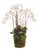 Phalaenopsis Orchid Drop-In 36" For Sale