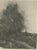 19th Century After Corot, River Landscape with Boatman and Cows, 1880, Etching For Sale - Image 5 of 9