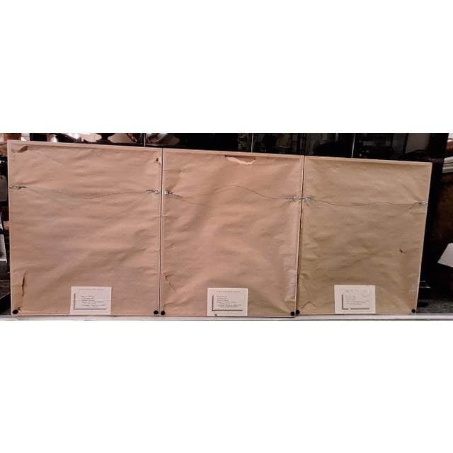 1990s Set of Three David Teplica Untitled 1996 Artist Proof Selenium Gelatin Silver Print Photographs For Sale - Image 5 of 12