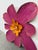 Magenta Pat & Andre Juneau Metal Flower Wall Sculpture, Extra Large For Sale - Image 8 of 12