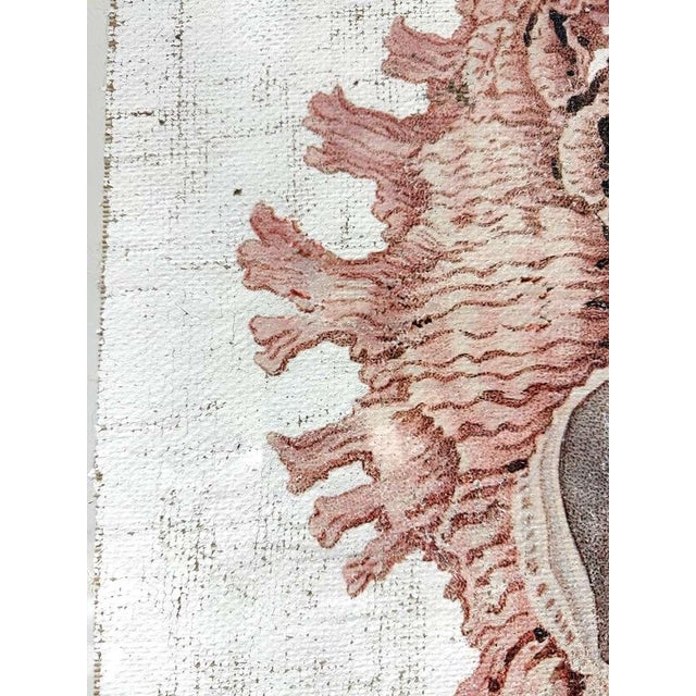 Pink Lace Murex — Hand Textured Pink Seashell Art For Sale - Image 8 of 9
