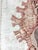 Pink Lace Murex — Hand Textured Pink Seashell Art For Sale - Image 8 of 9