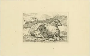 Anthony Oberman, Serene Pastoral Scene with Two Resting Sheep, 1810, Etching on Paper