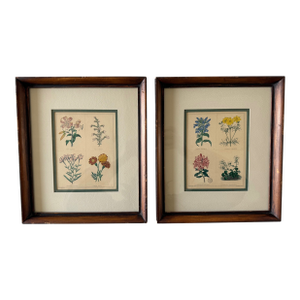 Pair of Framed Vintage Botanical Flower Specimen Prints