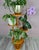 Wood Wooden Standing Flower Stand, 1970s For Sale - Image 7 of 8