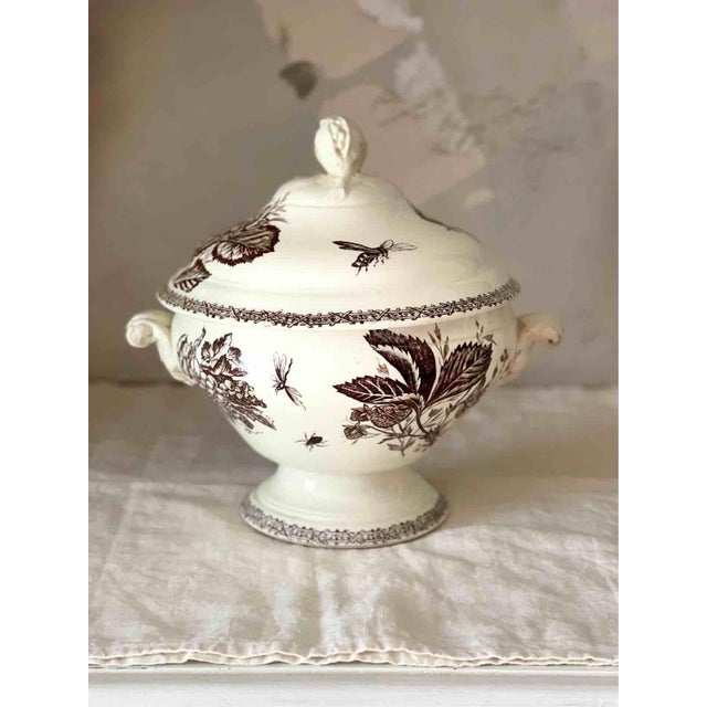 Antique Late 19th Century Terre de Fer Soup Tureen and Serving Plate with Fruit and Insect Decoration from Choisy Le Roi, Set of 2 For Sale - Image 3 of 18