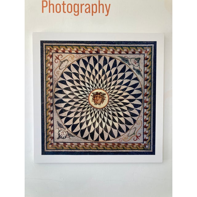 Modern William Gray Harris Photograph on Canvas “ Roman Mosaic With Gorgon Head" For Sale - Image 3 of 11