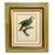 French 1950s Framed French Ornithological Parrot Lithographs After Jacques Barraband - A Pair For Sale - Image 3 of 13