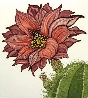 Arnold Iger "Cob Cactus" Hand Signed Fine Art Etching Floral Artwork Unframed 1981 Realism