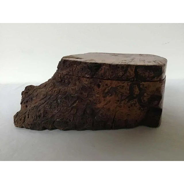 Natural Form Burl Wood Box For Sale - Image 4 of 10