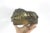 Metal Vintage Antonio Canova Sleeping Lion Sculpture Bookend Cast Brass For Sale - Image 7 of 10