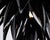 Aloe Blossom Large Anniversary Pendant Light with Black Porcelain Leaves by Jeremy Cole, 2004 For Sale - Image 6 of 15