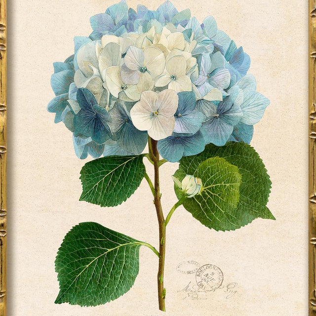 Reproduction Framed Blue Hydrangea Giclee Prints - Set of 2 For Sale In New York - Image 6 of 6