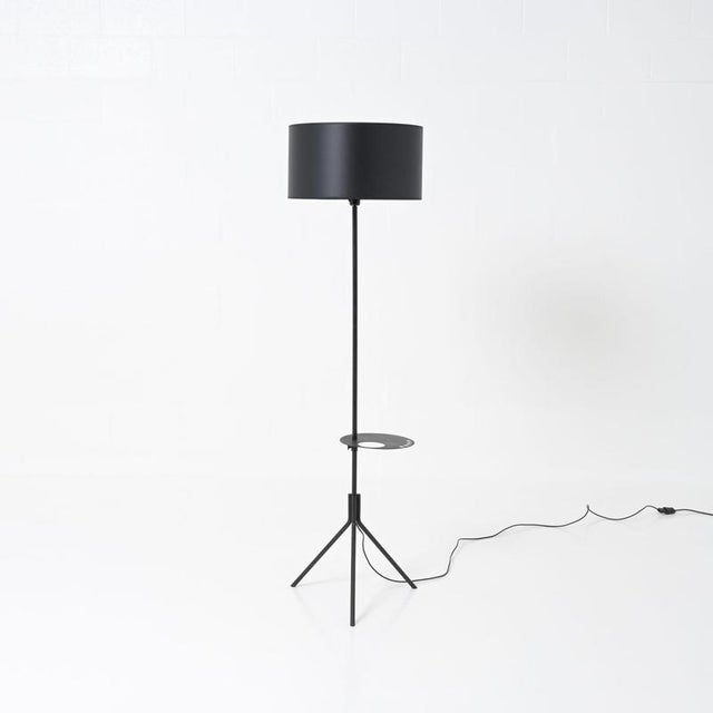 French Floor Lamp by Mathieu Matégot, 1960s For Sale - Image 4 of 18