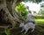 Vintage Cast Iron Lifelike Squirrel Garden Statue For Sale - Image 12 of 12