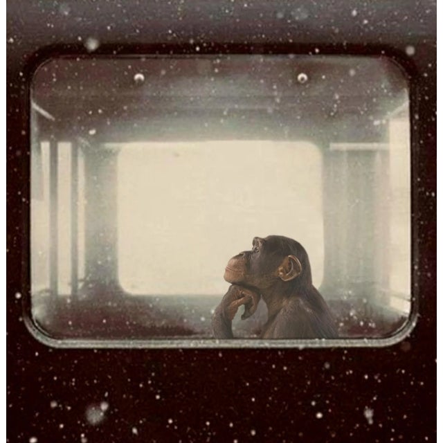 Mr Strange, To Be or Not to Be II, 2022, Giclée Print For Sale - Image 5 of 8