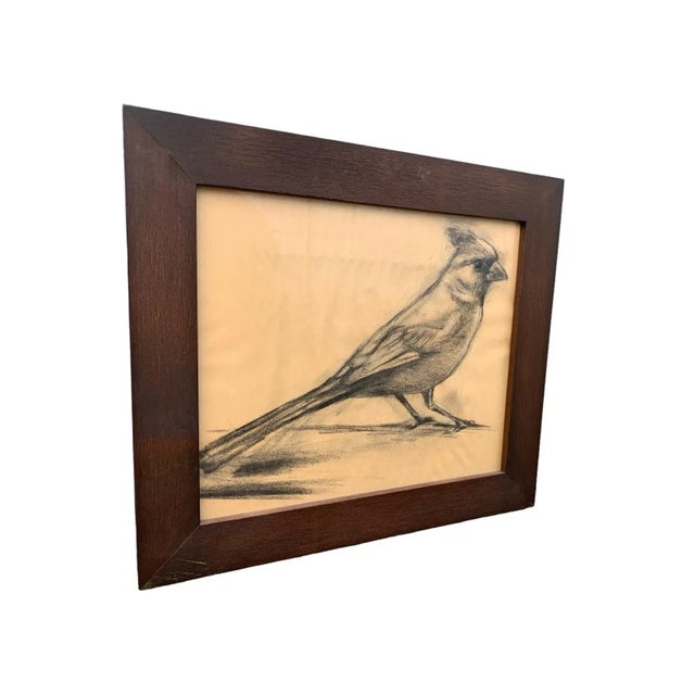 Vintage graphite on paper sketch of a perched cardinal. Framed, unsigned.