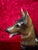 Vintage Rosenthal Germany Hand Painted German Shepherd Dog Figurine For Sale - Image 11 of 12