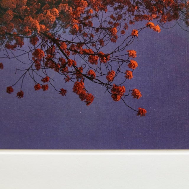 Early 21st Century Albarran & Cabrera, Mouth of Krishna #455, 2013, Framed Photography For Sale - Image 5 of 9