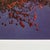 Early 21st Century Albarran & Cabrera, Mouth of Krishna #455, 2013, Framed Photography For Sale - Image 5 of 9