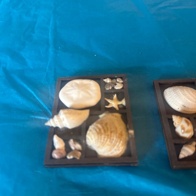 Charming vintage-inspired coastal shell décor featuring two framed shadow-box style pieces, each showcasing an assortment...