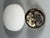 Mid-Century Ceiling Light in Frosted Glass from RZB, 1960s For Sale - Image 13 of 15
